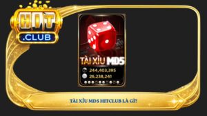 Tài xỉu MD5 Hitclub là gì